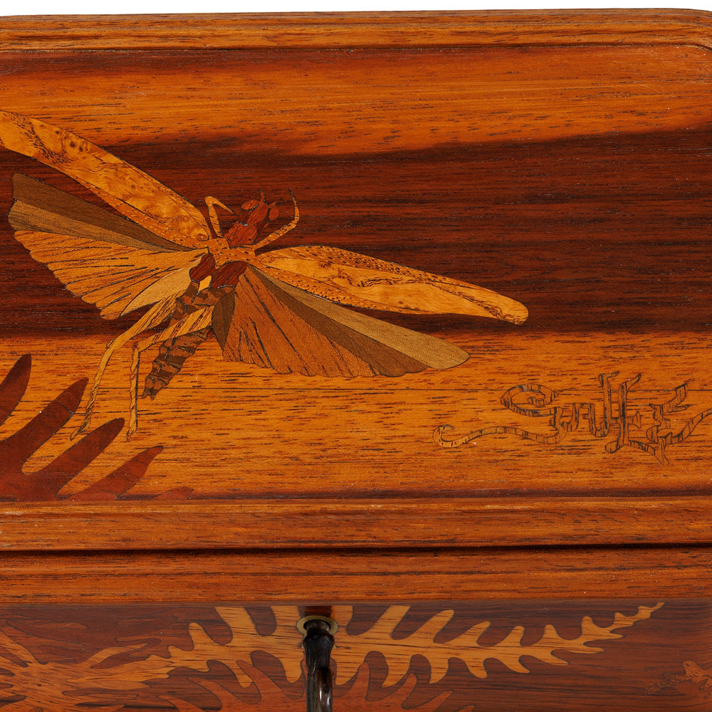 
                      
                        Macklowe Gallery Émile Gallé Marquetry "Mayfly and Ferns" Coffret
                      
                    